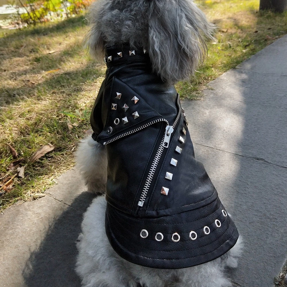 Cradle Of Goth Badass Pet Jacket (Suitable For Dogs And Cats) MISCELLANEOUS 6 Cradle Of Goth Badass Pet Jacket (Suitable For Dogs And Cats) MISCELLANEOUS