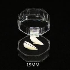 Cradle Of Goth MISCELLANEOUS Vampire Teeth