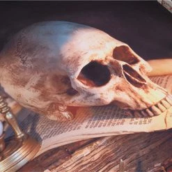 Cradle Of Goth The Light Of Death Sheets (Queen And King Size) BEDROOM