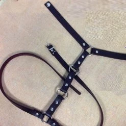 Cradle Of Goth Cage Choker CHOKERS