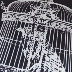 Cradle Of Goth Caged Crow T-shirt