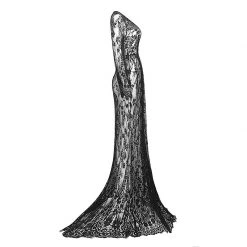 Cradle Of Goth DRESSES Morticia See-Through Dress 13 Cradle Of Goth DRESSES Morticia See-Through Dress